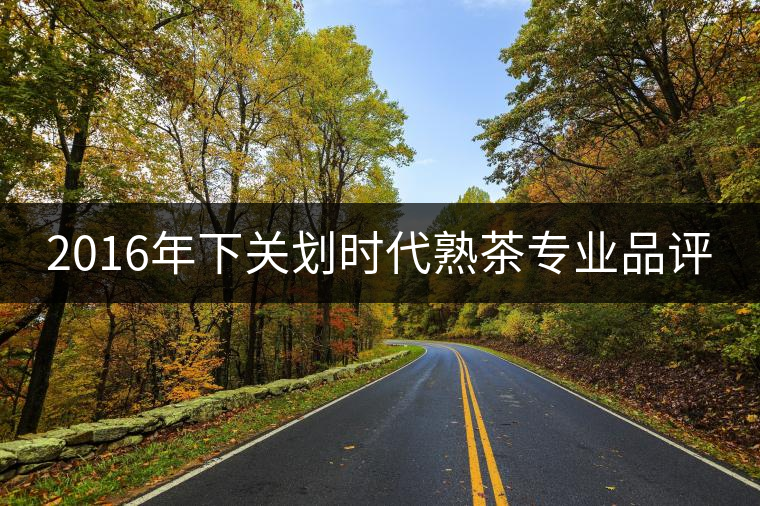 2016年下關(guān)劃時代熟茶專業(yè)品評