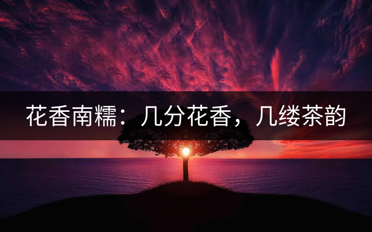 花香南糯：幾分花香，幾縷茶韻