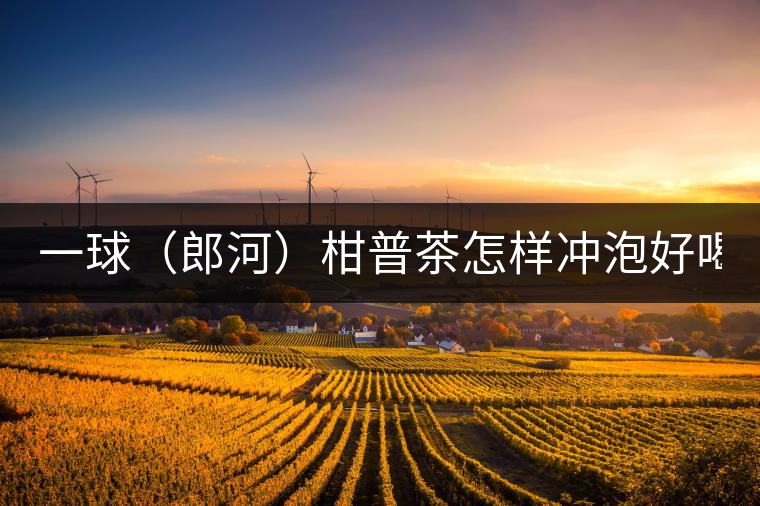 一球（郎河）柑普茶怎樣沖泡好喝？