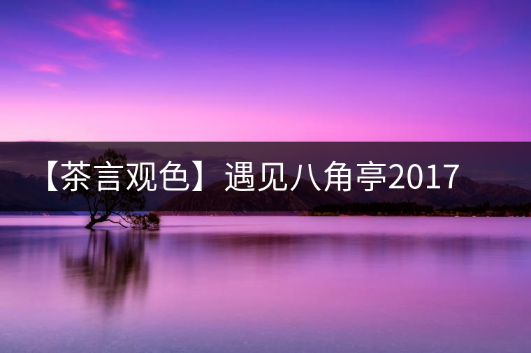 【茶言觀色】遇見八角亭2017年里程碑熟茶