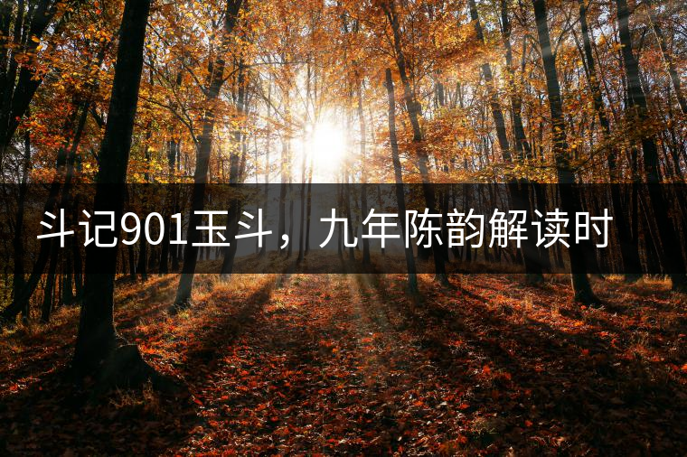 斗記901玉斗,九年陳韻解讀時(shí)間之味 斗記901玉斗,九年陳韻解讀時(shí)間之味