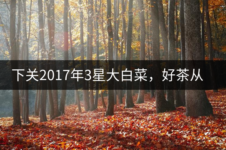 下關(guān)2017年3星大白菜，好茶從未中斷