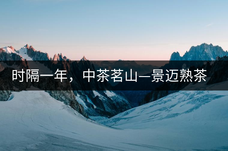 時(shí)隔一年，中茶茗山—景邁熟茶有哪些變化