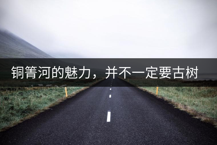 銅箐河的魅力，并不一定要古樹來體現(xiàn)