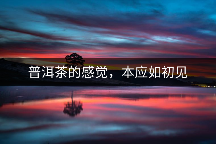 普洱茶的感覺，本應(yīng)如初見