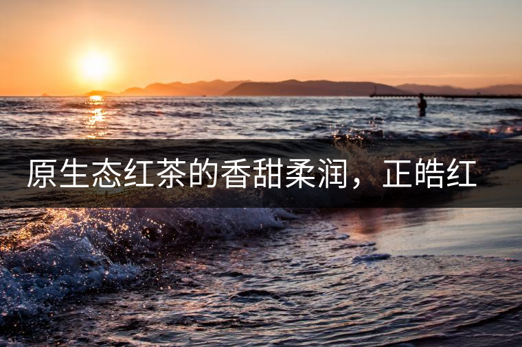 原生態(tài)紅茶的香甜柔潤(rùn)，正皓紅的魅力無(wú)可抵擋！