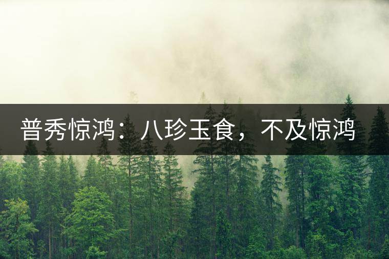 普秀驚鴻：八珍玉食，不及驚鴻一湯