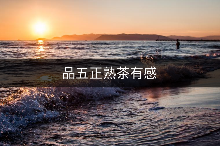 品五正熟茶有感 品五正熟茶有感