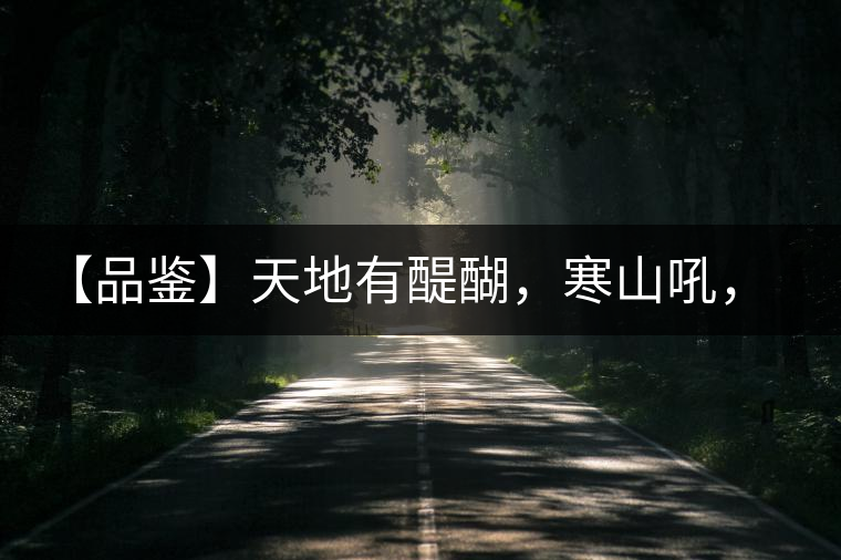 【品鑒】天地有醍醐，寒山吼，苦樂皆隨風(fēng)