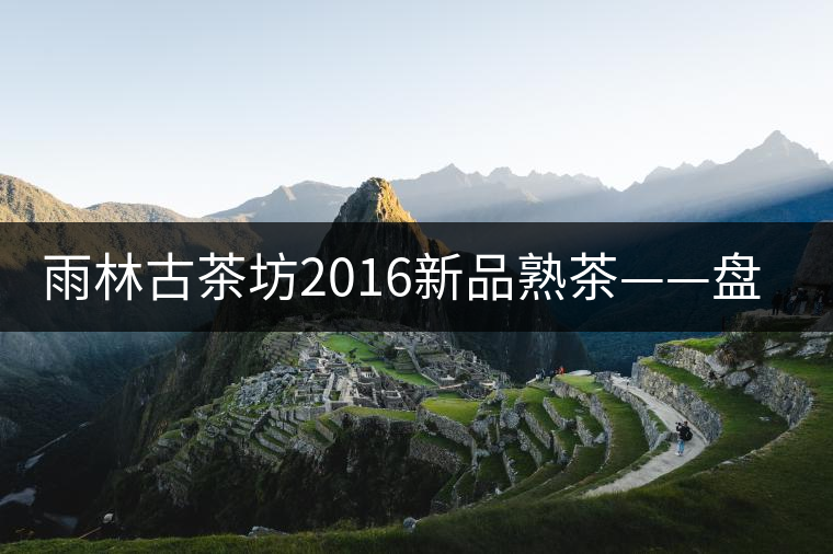 雨林古茶坊2016新品熟茶——盤古開湯品評
