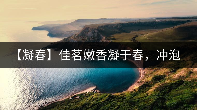 【凝春】佳茗嫩香凝于春，沖泡要訣盡在此