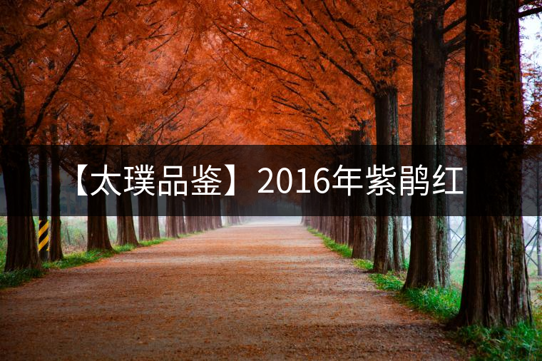 【太璞品鑒】2016年紫鵑紅 【太璞品鑒】2016年紫鵑紅