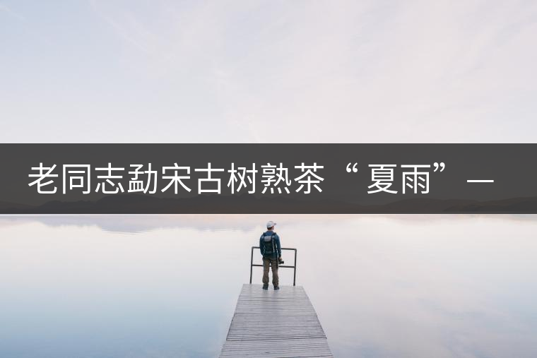 老同志勐宋古樹(shù)熟茶“ 夏雨”— 飲茶伴夏，只為您！