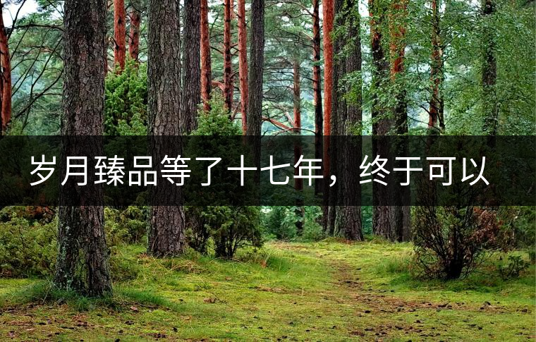 歲月臻品等了十七年，終于可以品味歲月