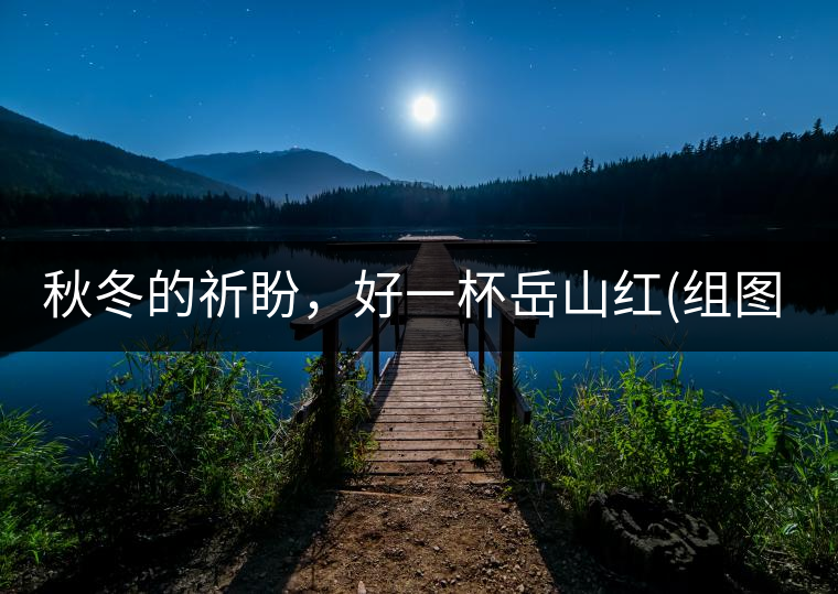 秋冬的祈盼，好一杯岳山紅(組圖)