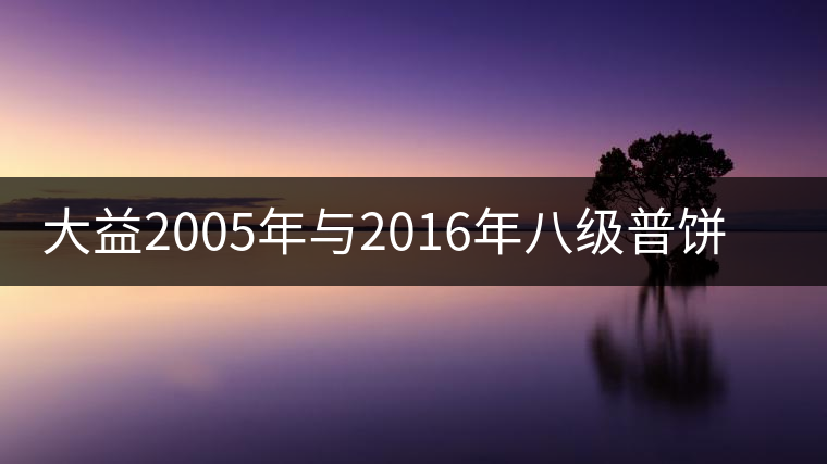 大益2005年與2016年八級普餅權威品鑒