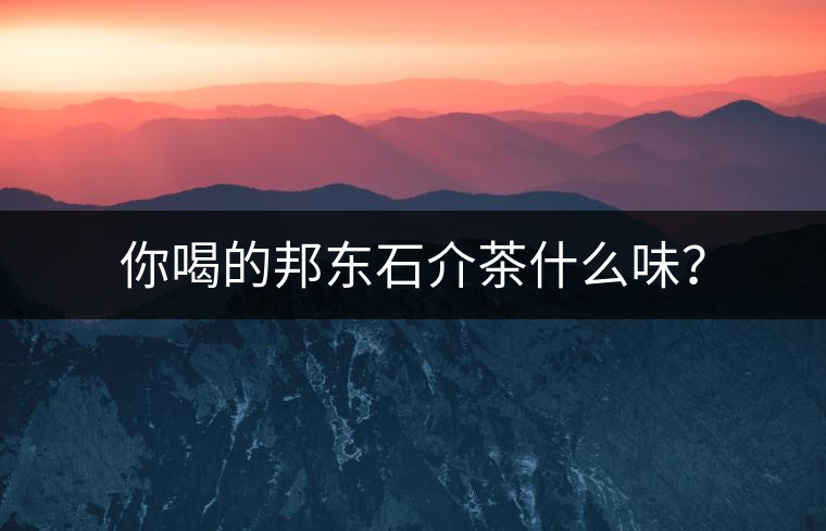你喝的邦東石介茶什么味？