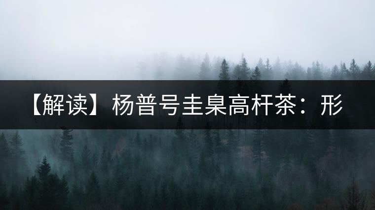 【解讀】楊普號(hào)圭臬高桿茶：形高、氣足、韻遠(yuǎn)的一款茶