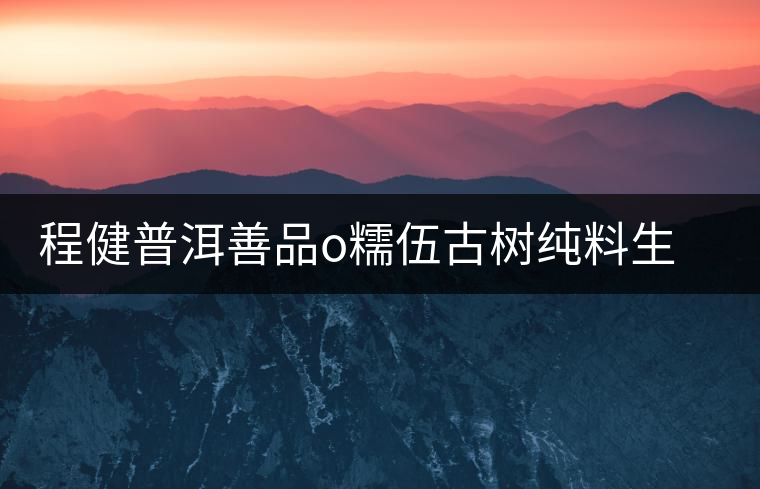 程健普洱善品o糯伍古樹純料生茶開湯品鑒