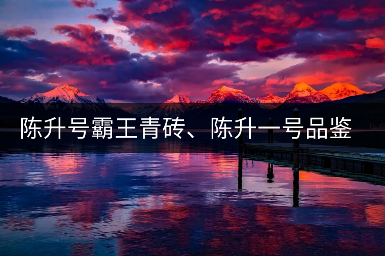 陳升號霸王青磚、陳升一號品鑒【圖】