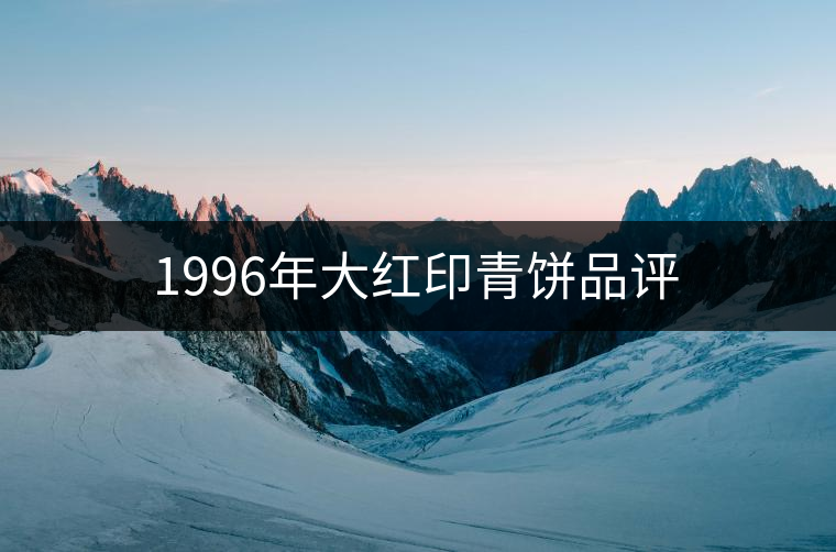1996年大紅印青餅品評(píng) 1996年大紅印青餅品評(píng)