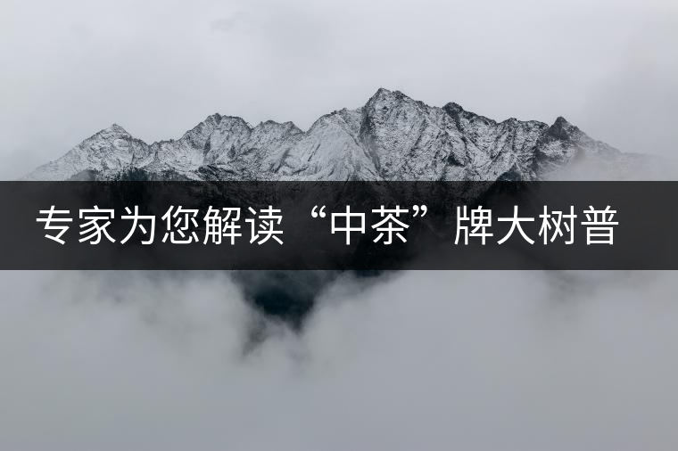 專家為您解讀“中茶”牌大樹普洱—落霞品評(píng) 專家為您解讀“中茶”牌大樹普洱—落霞品評(píng)