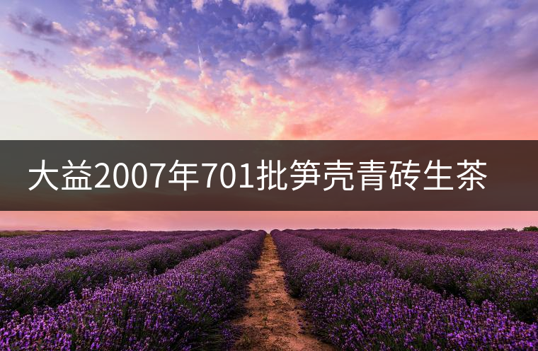 大益2007年701批筍殼青磚生茶開湯