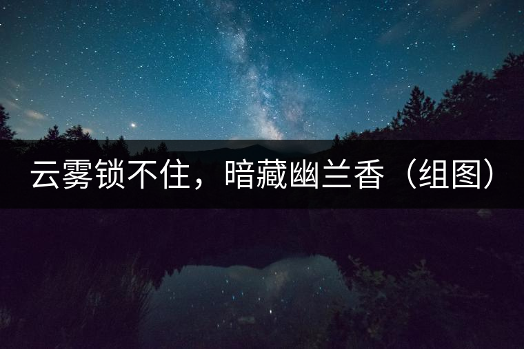 云霧鎖不住，暗藏幽蘭香（組圖）