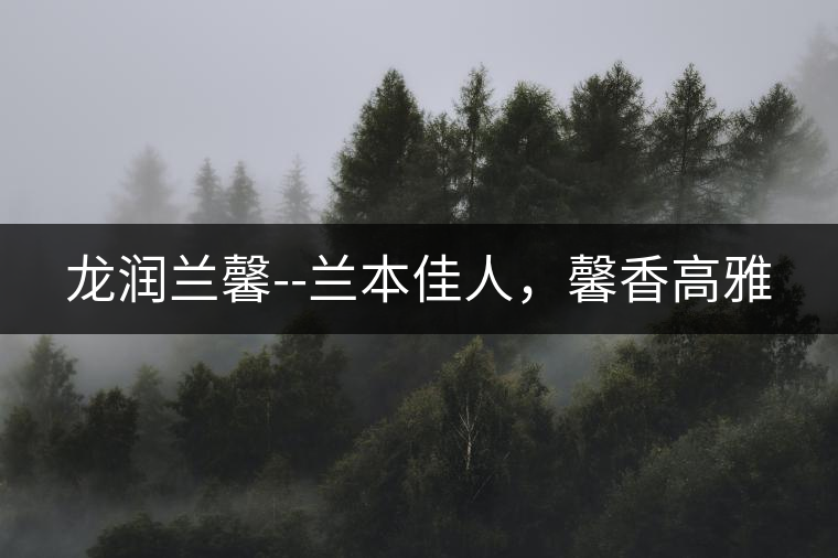 龍潤(rùn)蘭馨--蘭本佳人,馨香高雅 龍潤(rùn)蘭馨--蘭本佳人,馨香高雅