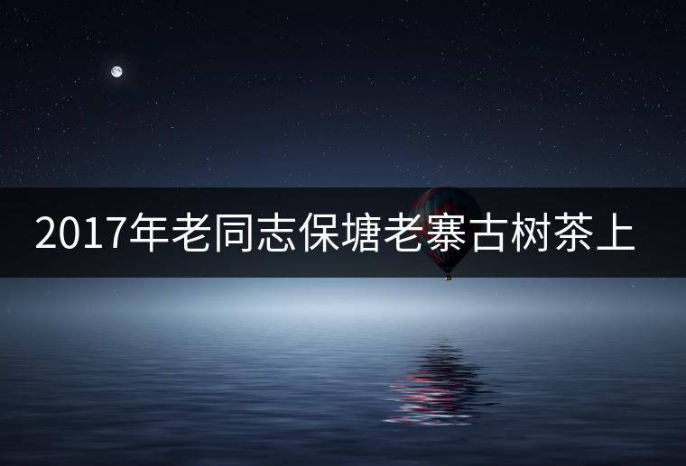 2017年老同志保塘老寨古樹(shù)茶上市