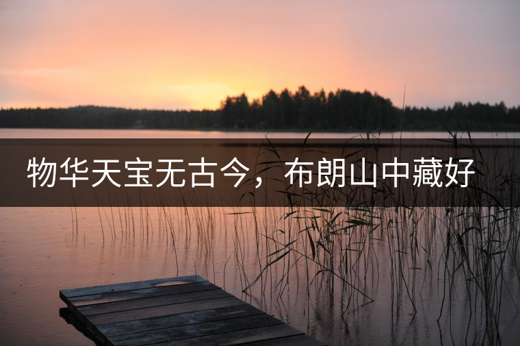 物華天寶無(wú)古今，布朗山中藏好茶