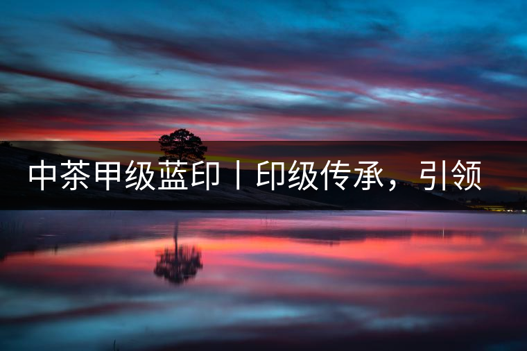 中茶甲級(jí)藍(lán)印丨印級(jí)傳承，引領(lǐng)風(fēng)韻