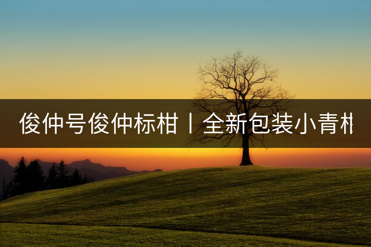 俊仲號俊仲標(biāo)柑丨全新包裝小青柑震撼上市！
