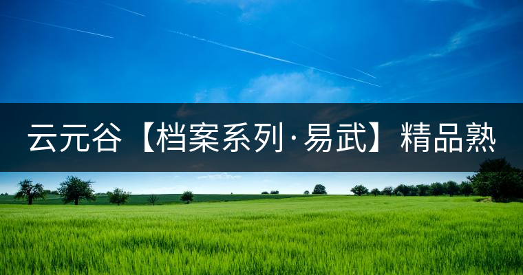 云元谷【檔案系列·易武】精品熟茶，精裝上市！