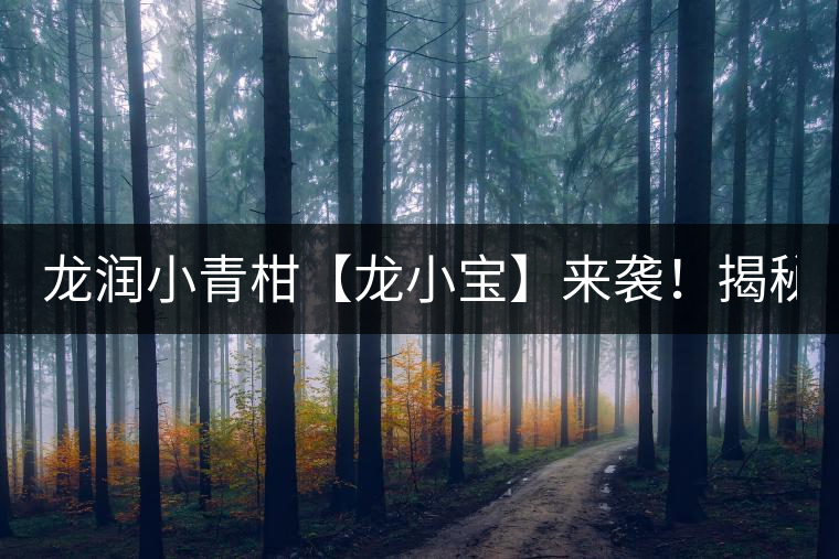 龍潤(rùn)小青柑【龍小寶】來(lái)襲！揭秘它的前半生！