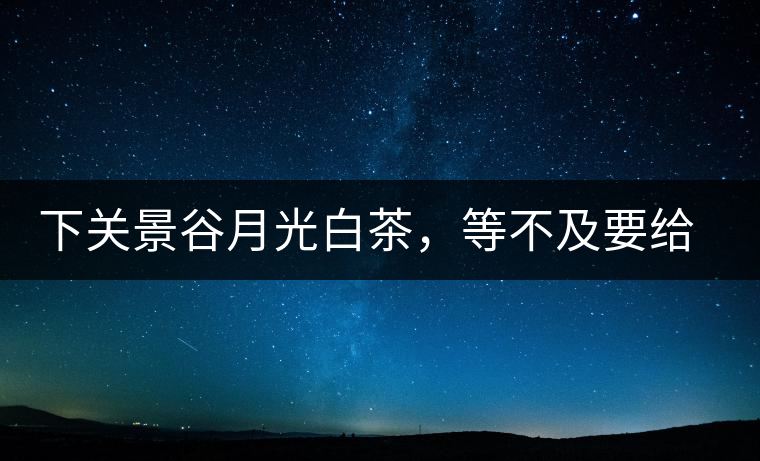 下關(guān)景谷月光白茶，等不及要給你的思念