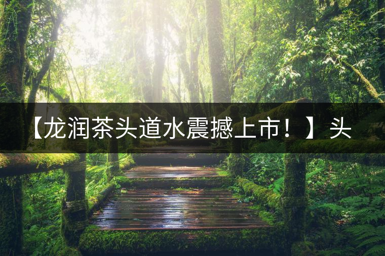 【龍潤(rùn)茶頭道水震撼上市！】頭道水，二道茶，三道四道是精華！