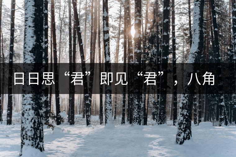 日日思“君”即見“君”，八角亭竹筒茶君子即將上市