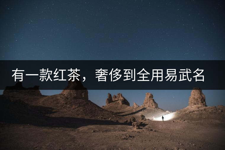 有一款紅茶，奢侈到全用易武名寨古樹茶發(fā)酵！