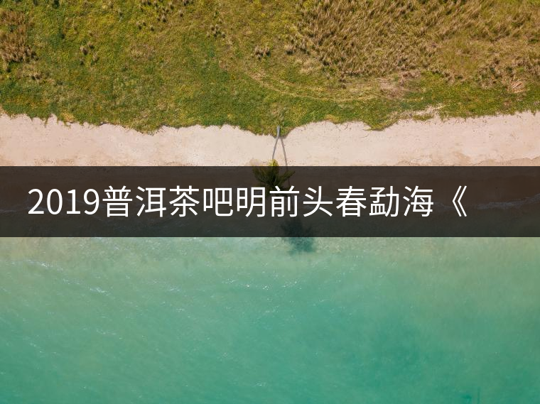 2019普洱茶吧明前頭春勐?！对鹿獍住钒撞鑳?yōu)惠訂購