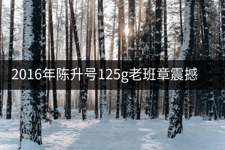 2016年陳升號125g老班章震撼上市