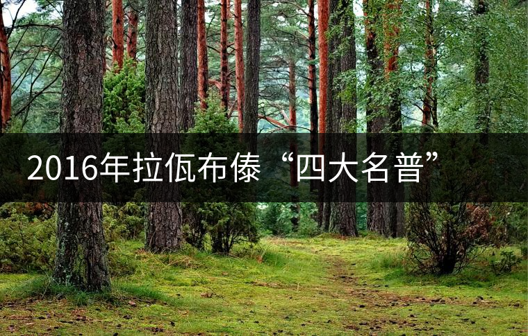 2016年拉佤布傣“四大名普”之拉祜神茗上市 2016年拉佤布傣“四大名普”之拉祜神茗上市