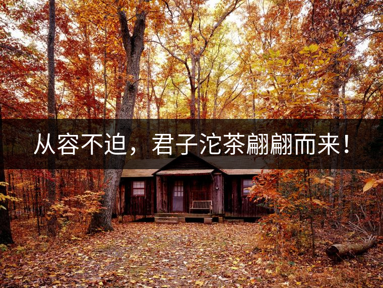 從容不迫，君子沱茶翩翩而來！