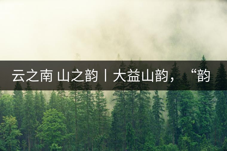 云之南 山之韻丨大益山韻，“韻”味傳奇之山韻歸來(lái)