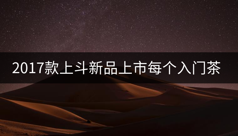 2017款上斗新品上市每個(gè)入門茶人都欠自己一餅上斗！