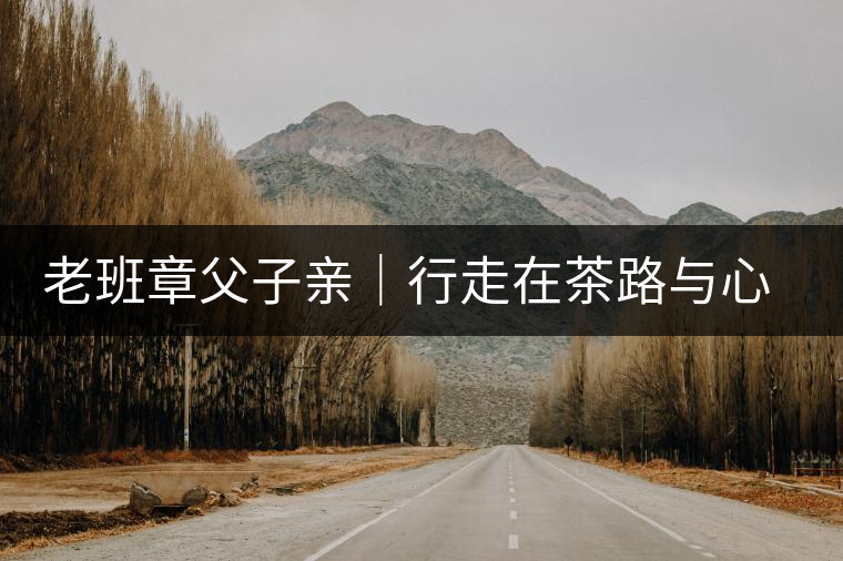 老班章父子親｜行走在茶路與心路上，訴說濃濃父子情