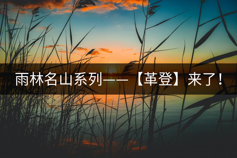 雨林名山系列——【革登】來(lái)了！