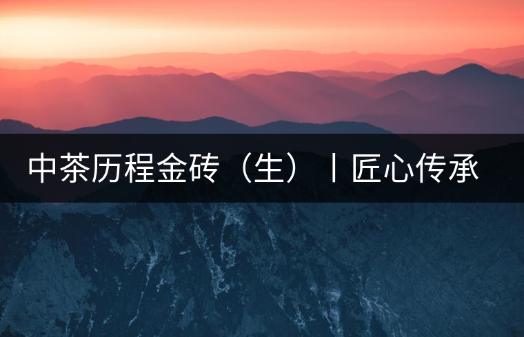 中茶歷程金磚（生）丨匠心傳承，精品迭出