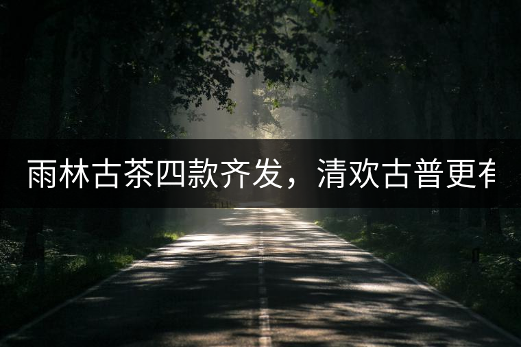 雨林古茶四款齊發(fā)，清歡古普更有味！