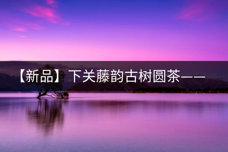 【新品】下關(guān)藤韻古樹圓茶——“千手觀音”臨世之風(fēng)骨
